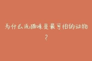 为什么说猫咪是最可怕的动物?-动物百科