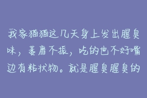 我家猫猫这几天身上发出腥臭味,萎靡不振,吃的也不好嘴边有粘状物。就是腥臭腥臭的,请问是生什么病了?-动物百科