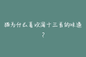 猫为什么喜欢闻十三香的味道?-动物百科