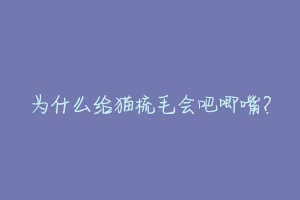 为什么给猫梳毛会吧唧嘴?-动物百科