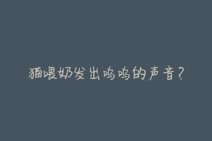 猫喂奶发出呜呜的声音?-动物百科