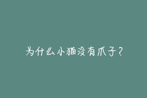 为什么小猫没有爪子?-动物百科