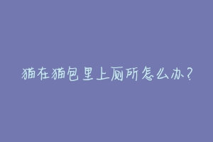 猫在猫包里上厕所怎么办?-动物百科