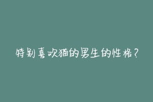 特别喜欢猫的男生的性格?-动物百科