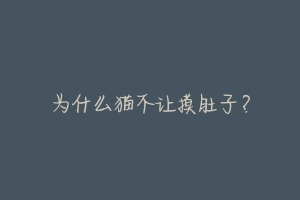 为什么猫不让摸肚子？-动物百科
