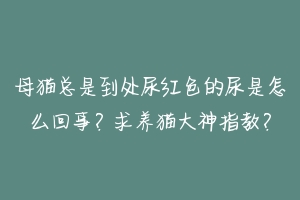 母猫总是到处尿红色的尿是怎么回事?求养猫大神指教?-动物百科