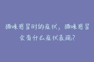猫咪感冒时的症状,猫咪感冒会有什么症状表现?-动物百科