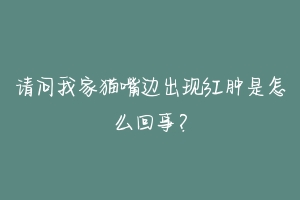 请问我家猫嘴边出现红肿是怎么回事?-动物百科