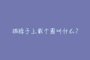 猫脖子上戴个圈叫什么?-动物百科