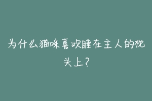 为什么猫咪喜欢睡在主人的枕头上?-动物百科