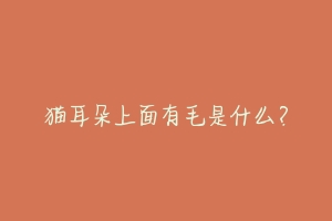 猫耳朵上面有毛是什么?-动物百科