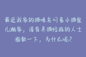 最近我家的猫咪总叼着小猫崽儿搬家,请有养猫经验的人士指教一下,为什么呢?-动物百科