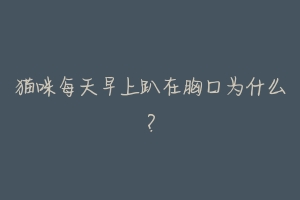 猫咪每天早上趴在胸口为什么?-动物百科