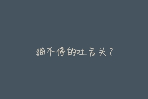 猫不停的吐舌头?-动物百科