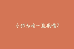 小猫为啥一直抿嘴?-动物百科
