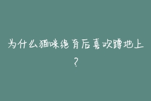 为什么猫咪绝育后喜欢蹲地上?-动物百科