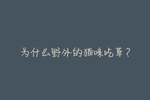 为什么野外的猫咪吃草?-动物百科