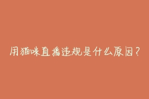 用猫咪直播违规是什么原因?-动物百科