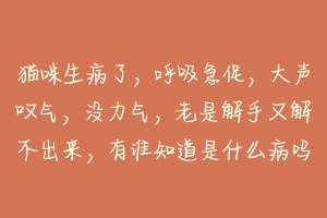 猫咪生病了,呼吸急促,大声叹气,没力气,老是解手又解不出来,有谁知道是什么病吗?-动物百科