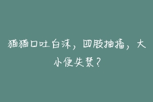 猫猫口吐白沫,四肢抽搐,大小便失禁?-动物百科