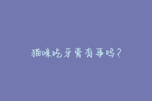 猫咪吃牙膏有事吗?-动物百科