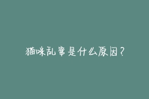 猫咪乱窜是什么原因?-动物百科
