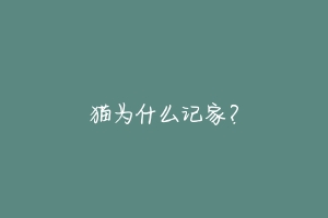 猫为什么记家?-动物百科