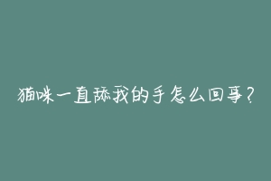 猫咪一直舔我的手怎么回事?-动物百科