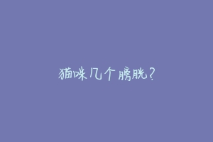猫咪几个膀胱?-动物百科