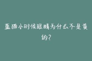 蓝猫小时候眼睛为什么不是黄的?-动物百科