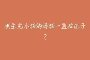 刚生完小猫的母猫一直拉肚子?-动物百科