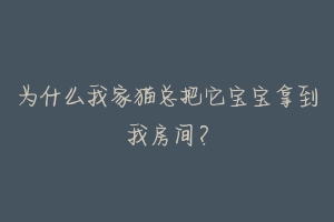 为什么我家猫总把它宝宝拿到我房间?-动物百科