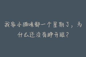 我家小猫咪都一个星期了,为什么还没有睁开眼?-动物百科