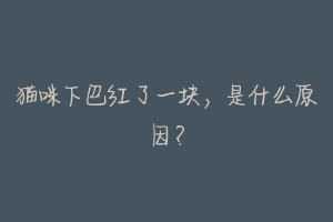 猫咪下巴红了一块,是什么原因?-动物百科