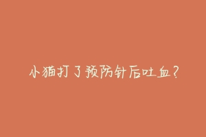 小猫打了预防针后吐血?-动物百科