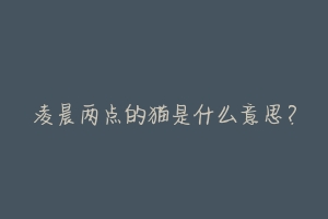 凌晨两点的猫是什么意思?-动物百科
