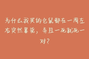 为什么我买的仓鼠都在一周左右突然暴毙,并且一死就死一对?-动物百科