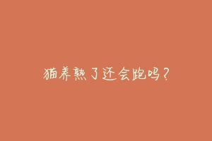 猫养熟了还会跑吗?-动物百科