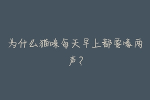 为什么猫咪每天早上都要嚎两声?-动物百科