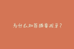 为什么加菲猫要拔牙?-动物百科