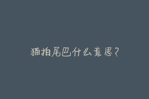 猫拍尾巴什么意思?-动物百科