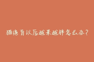 猫绝育以后越来越胖怎么办?-动物百科