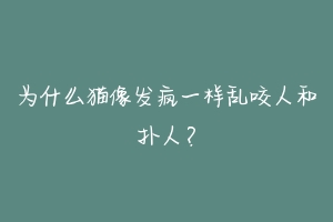 为什么猫像发疯一样乱咬人和扑人?-动物百科