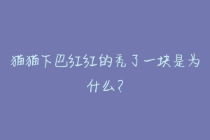 猫猫下巴红红的秃了一块是为什么?-动物百科