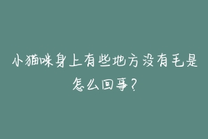 小猫咪身上有些地方没有毛是怎么回事?-动物百科