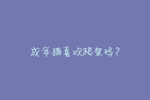 成年猫喜欢爬架吗?-动物百科