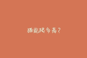 猫能爬多高?-动物百科