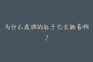 为什么摸猫的肚子它会躺着啊?-动物百科
