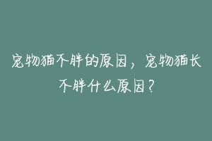 宠物猫不胖的原因，宠物猫长不胖什么原因？-动物百科