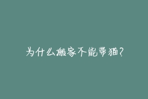 为什么搬家不能带猫？-动物百科